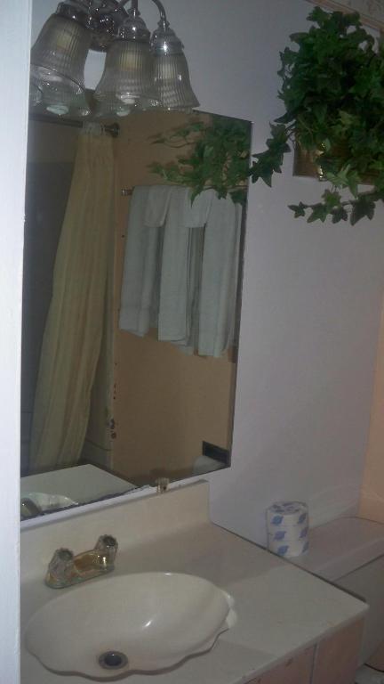 Catalina Airport Motel Avon ห้อง รูปภาพ